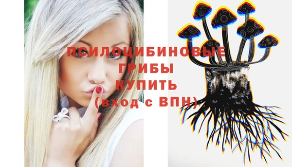 ешки Аркадак