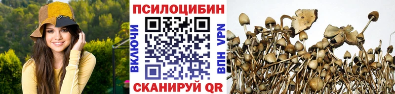 как найти   omg онион  Галлюциногенные грибы ЛСД  Терек 
